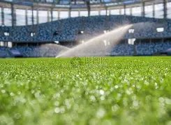 舞动擂台,格斗英雄翩,翩起舞,开云365,KaiYun365,开云365体育官网,开云365官网,开云365体育下载