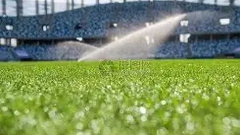 “舞动擂台：格斗英雄翩翩起舞，观众惊呼不已！”