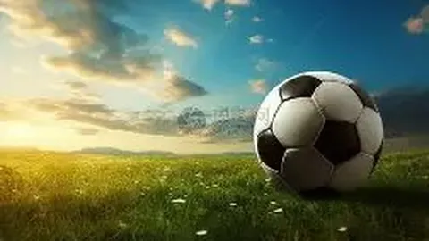 美洲杯冠军在握，他却空手而归：帕雷德斯与罗德里戈的遗憾之旅